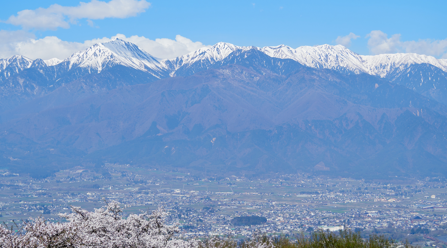 コミュニケーションスペースあおぞら Top Image
